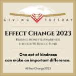 Effect Change - Giving Tuesday 2023
